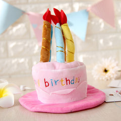 Pet Transformation Hat - Cute Cat Birthday Cake Hat