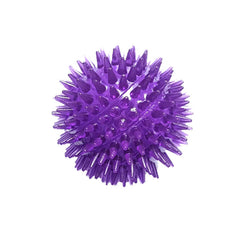 Transparent Elastic Dog Toothbrush Massage Ball