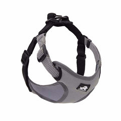 Dog Leash with Collar for Walking Your Dog