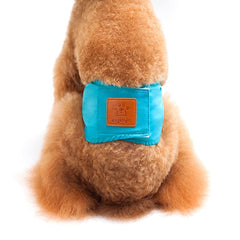 Solid Color Physiology Pants for Male Dogs