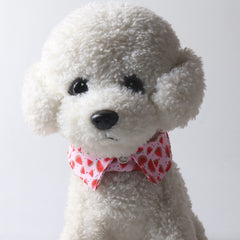 Fruit Blossom Bow Tie Cat Collar